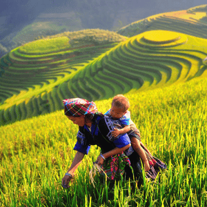 Vietnam Trekking Tours 