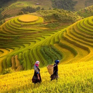 Vietnam Photography Tours