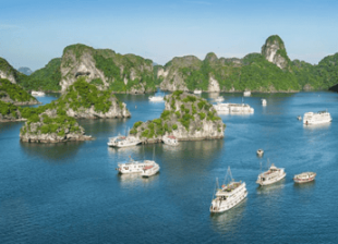 Excursions in Vietnam 