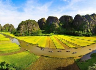 Vietnam Tour Packages