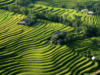 Authentic Trekking Tours in Hoang Su Phi 6 days