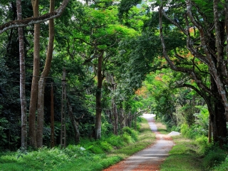Cuc Phuong National Park Day Tour