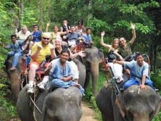 Chiang Rai 4 Days 3 Nights