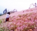 Six best places in Northern Vietnam for winter holidays