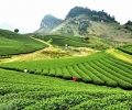 Impressive plateaus in Vietnam