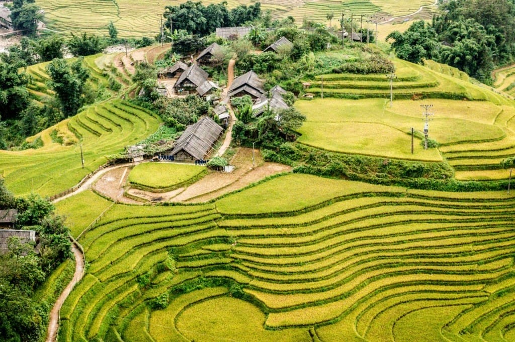 Terraced-rice-fields-in-Sapa