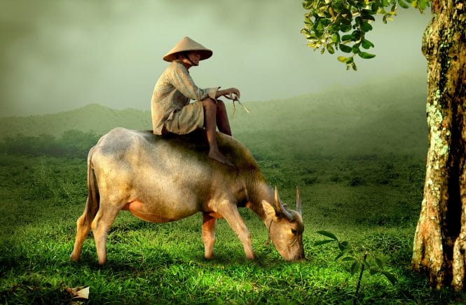 Thu-Bon-river-at-night