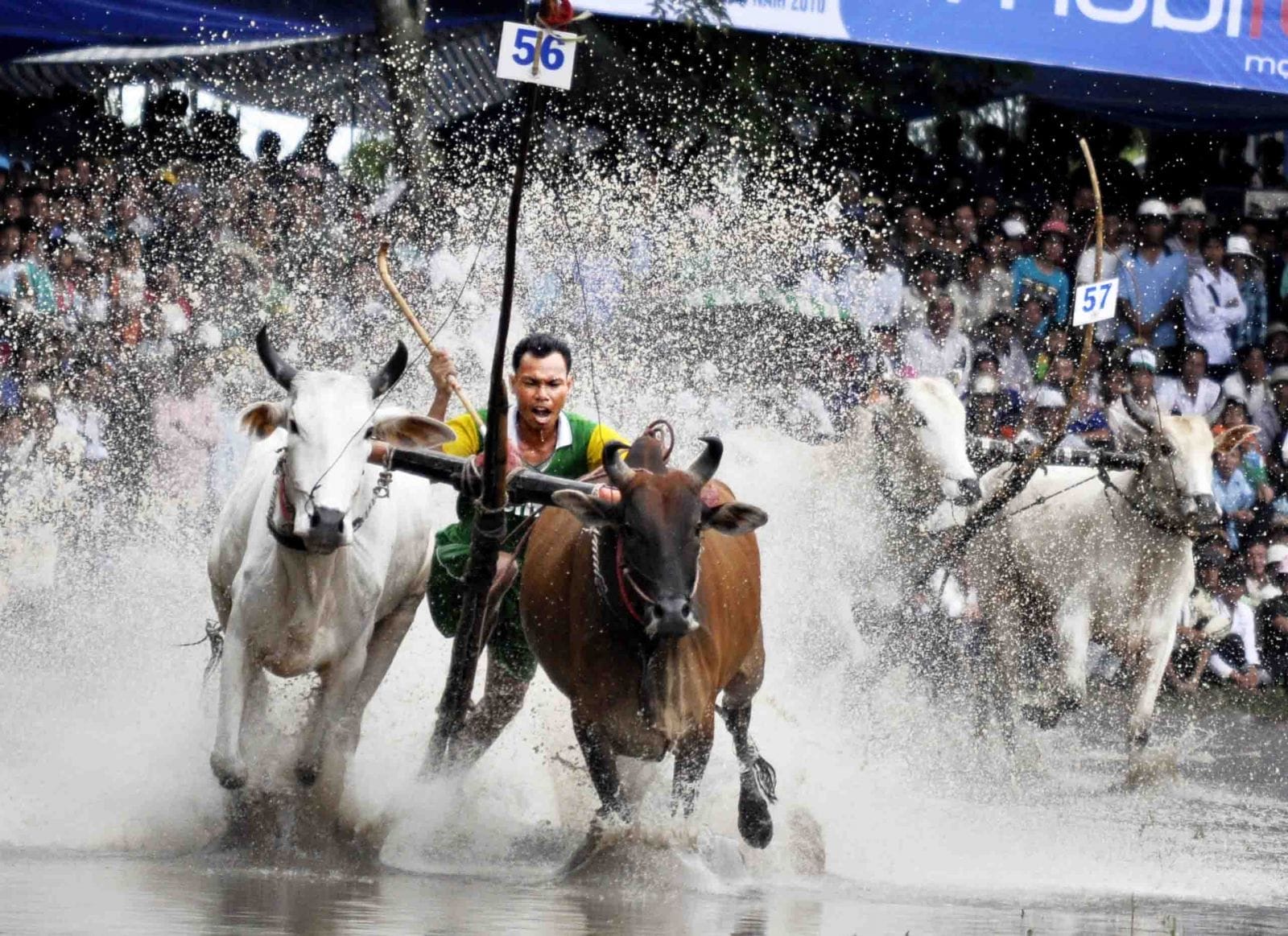 Festival-in-An-Giang