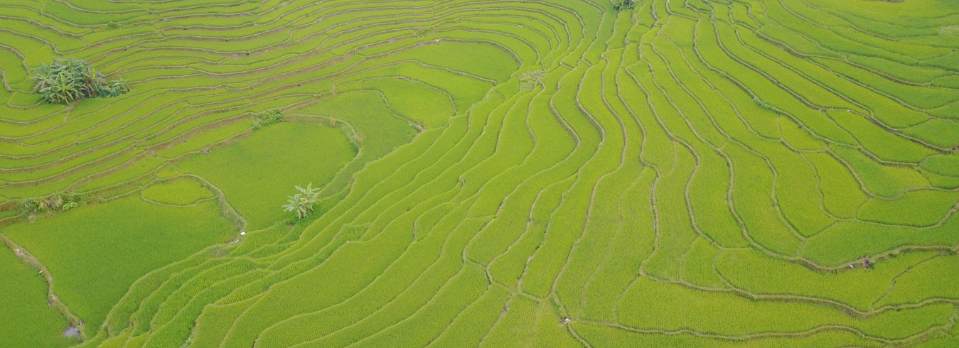 trekking-in-Pu-Luong
