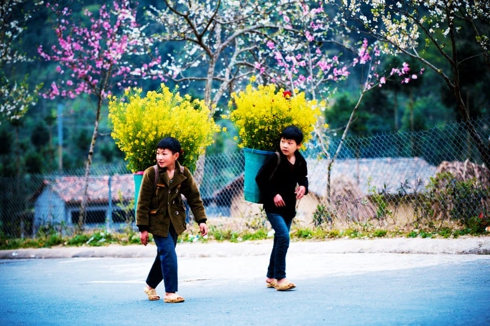 the-best-travel-guie-of-ha-giang-2023