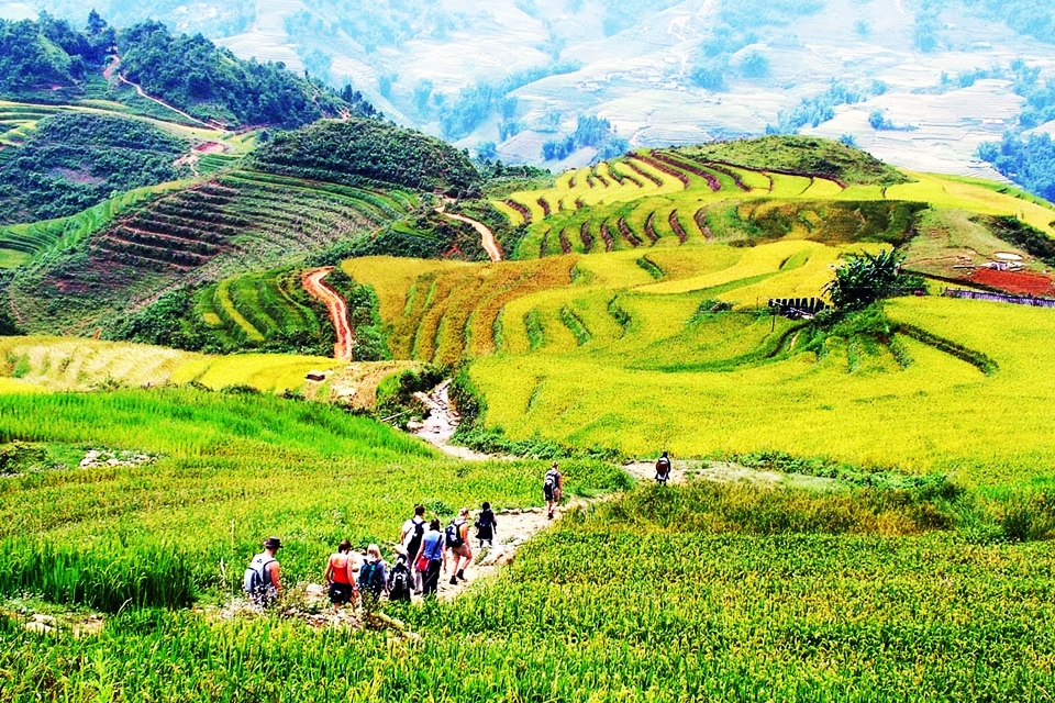 /best-places-for-trekking-in-vietnam-hoang-su-phi