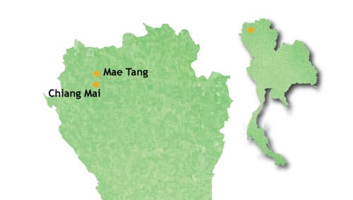 Chiang Mai - Mae Tang 3 days chiang-mai-mae-tang-3-days-2-nights