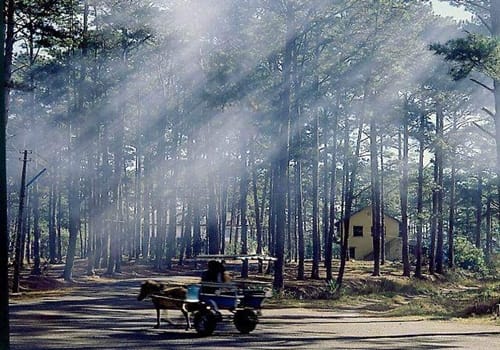 Dalat Vietnam