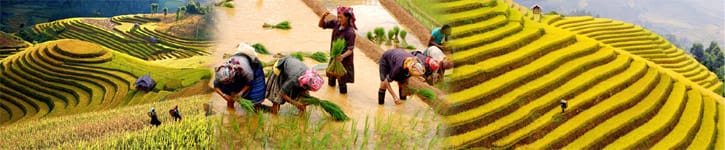 Mu Cang Chai_Vietnam Travel