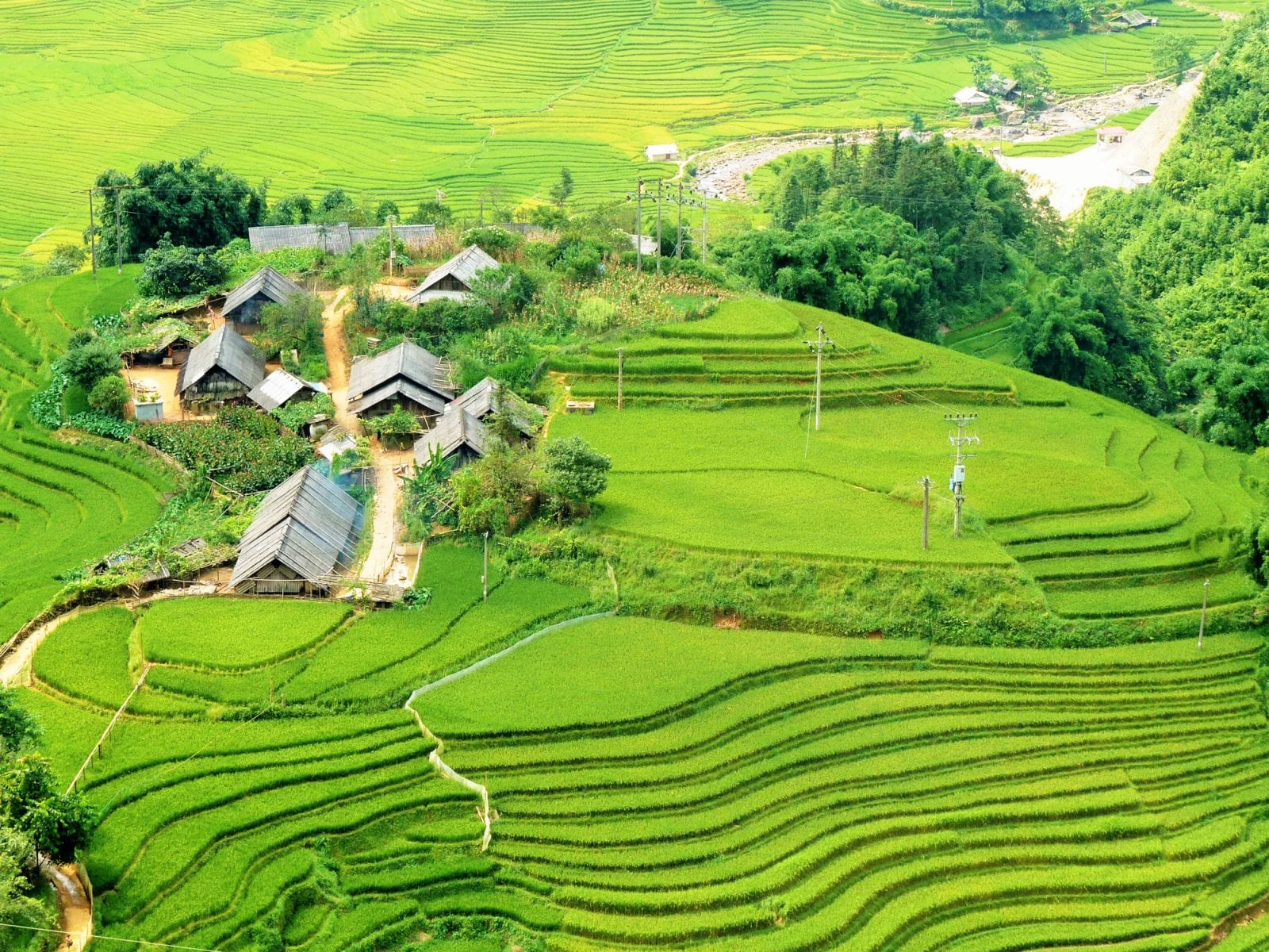 Muong-Hoa-valley-Sapa
