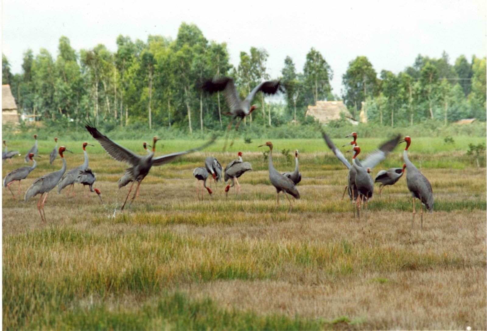 Tra-Su-National-Park