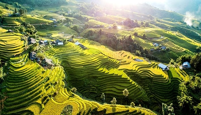 Terraced-rice-fields-in-Sapa-a-top-destination-in-northern-vietnam