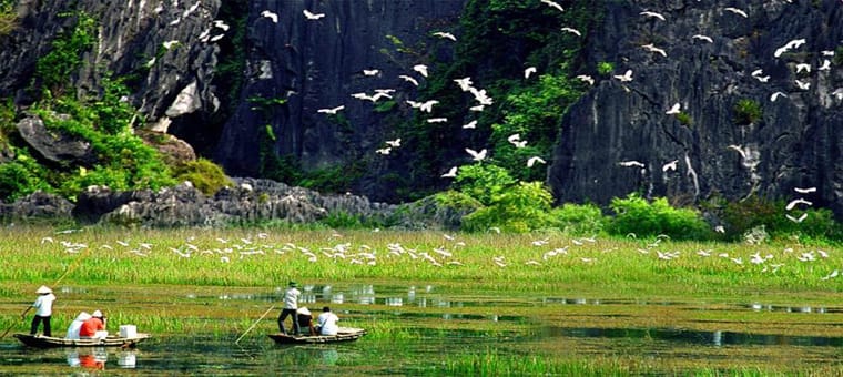 Van-Long-Ninh-Binh-Reserve