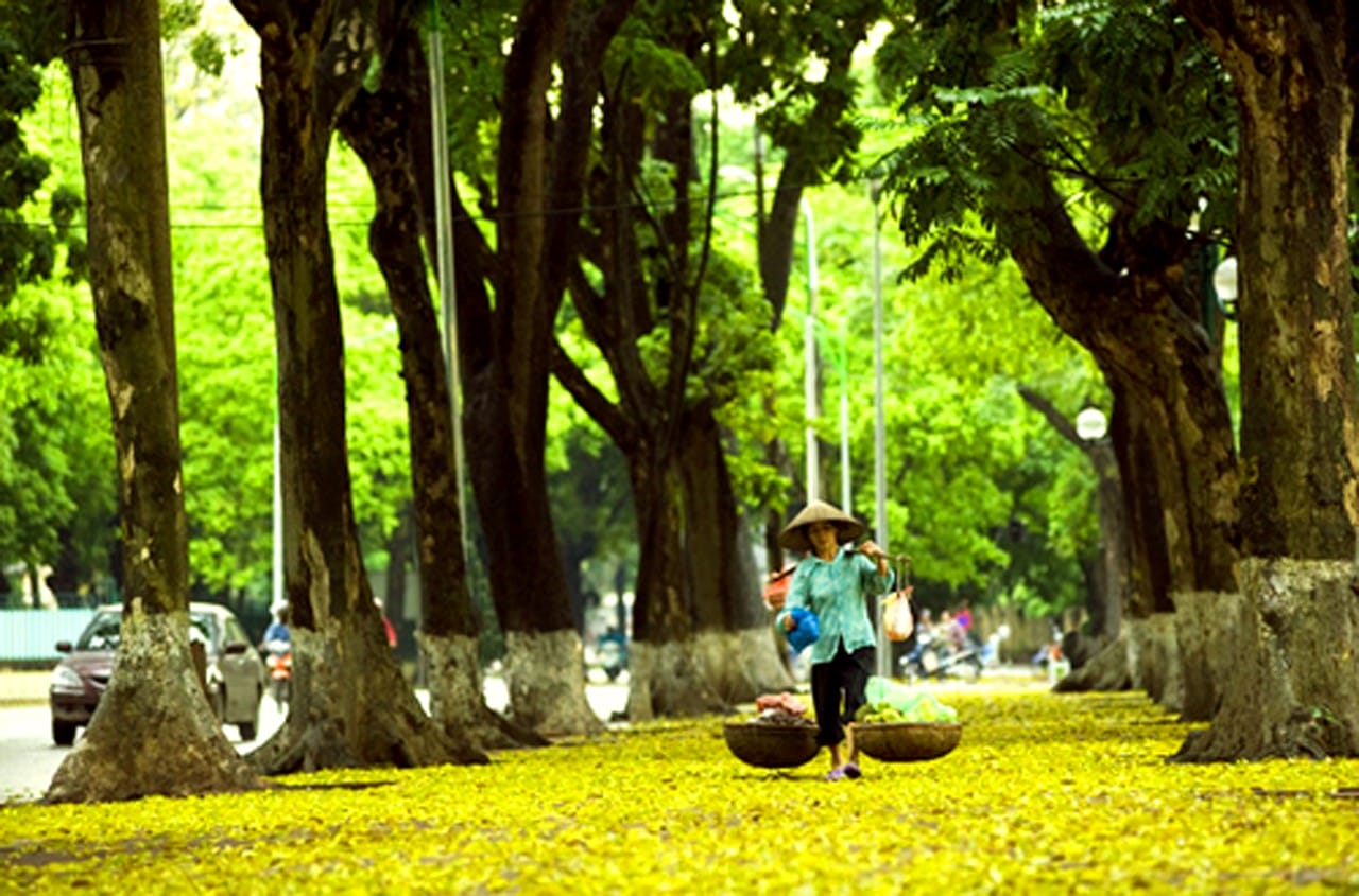 Autumn in Hanoi
