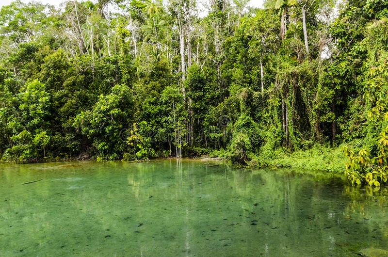 Elephant-land-in-Thailand