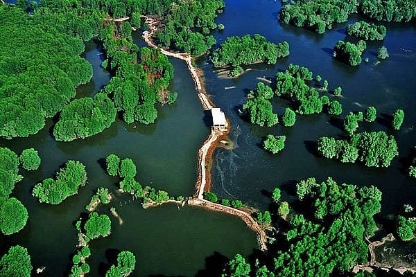 can gio nature park
