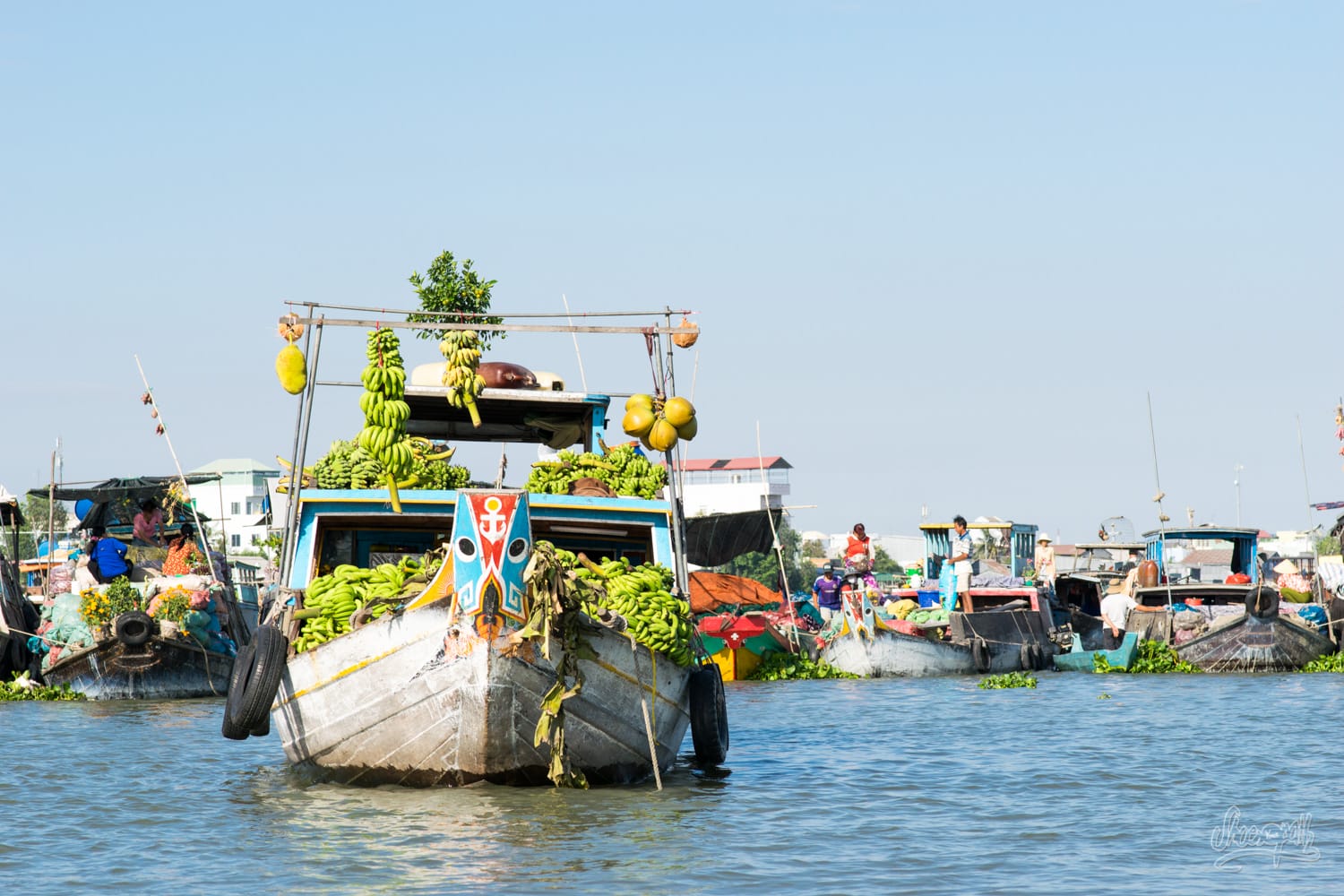 floating-market-in-chau-doc-travel