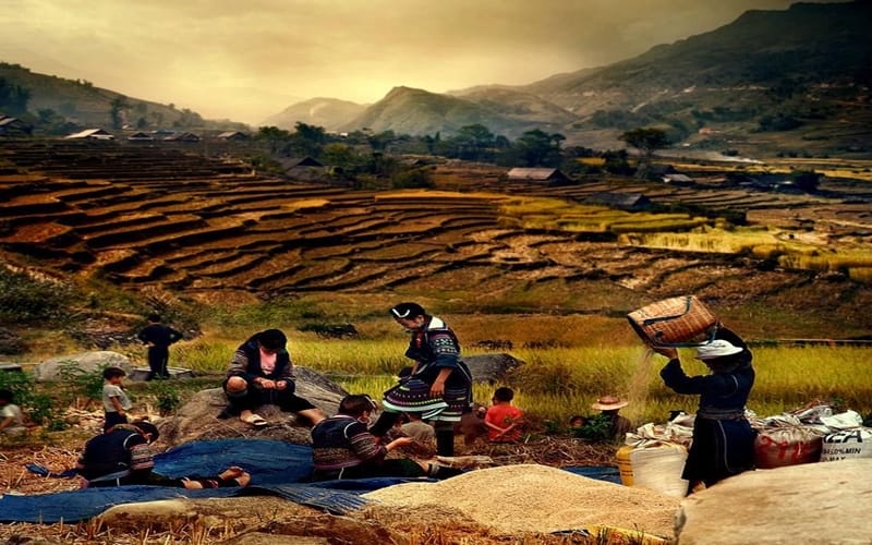 highlight-and-things-to-do-in-north-vietnam